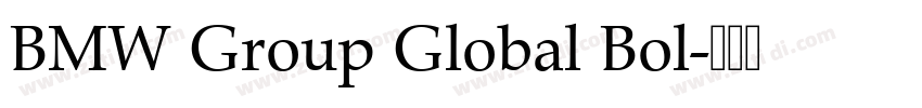 BMW Group Global Bol字体转换 BMW Group Global Bol字体转换